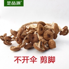 楚品源茶树菇